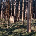 Aukrug Bünzau Häuschen im Wald