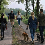 beitragsbild – gruppe