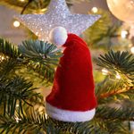 neelam279-christmas-6857726